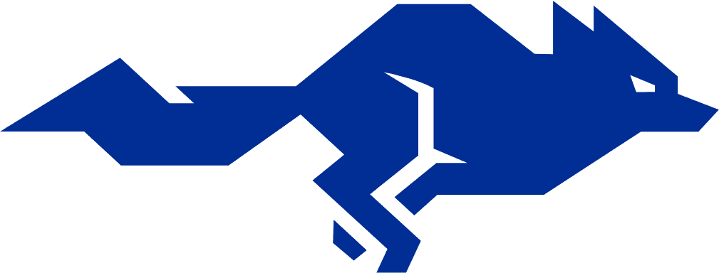 Cruzeiro Esporte Clube